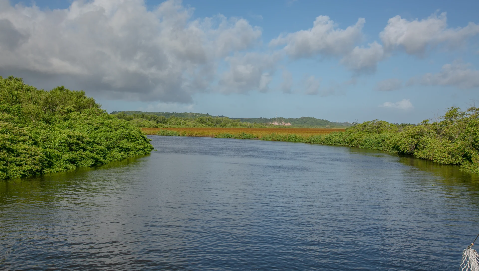 Paisagem real do passeio, com rio e vegetação nas margens